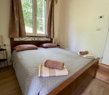 Mollia House | Wild Side