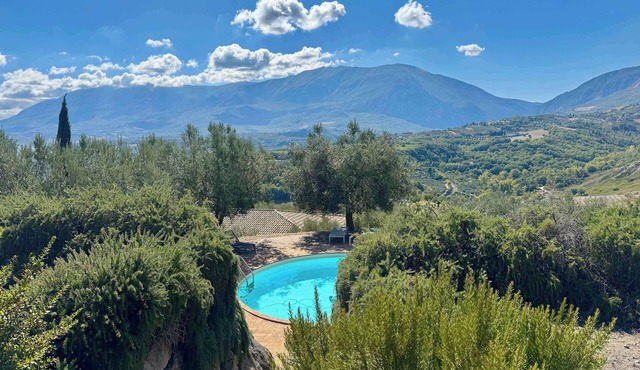 Abruzzo Villa with Pool: Olive trees surround this peaceful retreat.