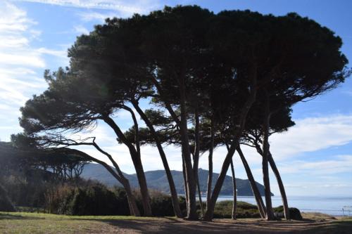 Agriturismo Barattis