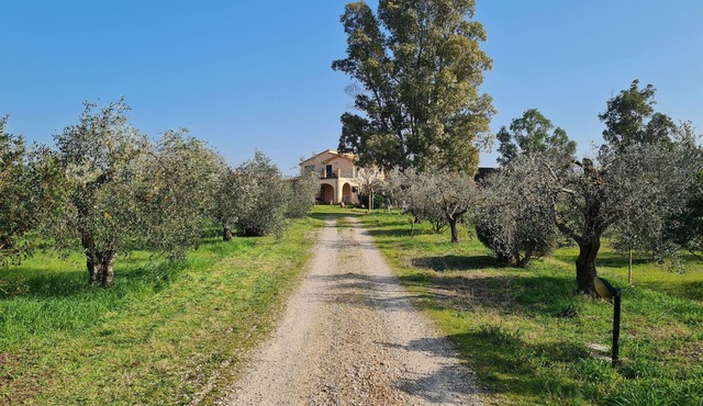 Agriturismo Buonavista - Parco della Maremma