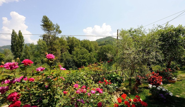 Agriturismo Casa Brunori