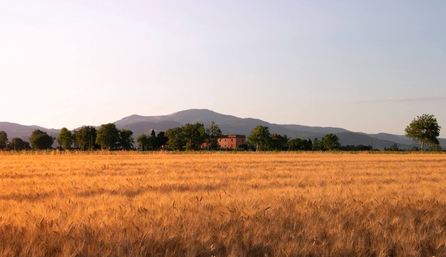 Agriturismo Il Pescinone - Cipressino, between the countryside and the sea
