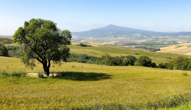 Amazing view 3 bdr villa with pool & A/C in Pienza | Leccino