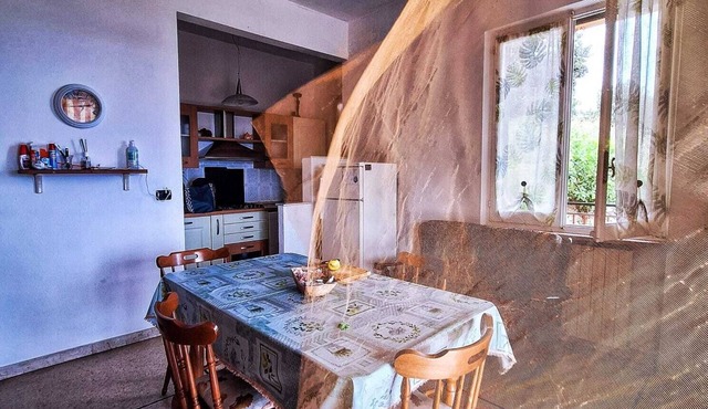 Among the olive trees by Jacinta apartment in the silence of nature beautiful view