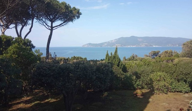 Ansedonia beautiful villa sea view terraces large garden EXCELLENT PRICE.