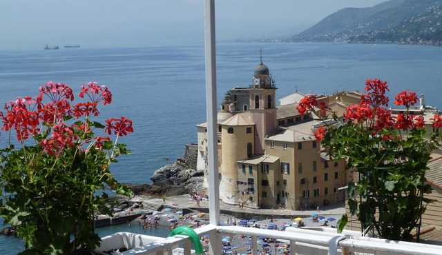 apartment/flat - Camogli