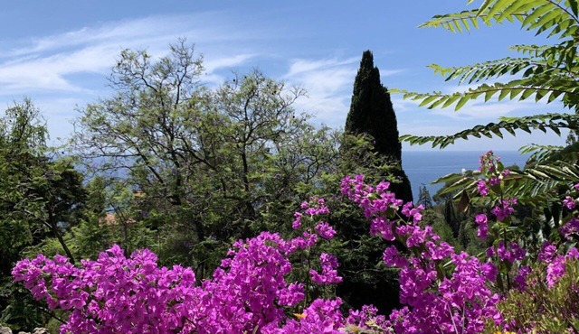 apartment in 70´s building in the Olive Jungle 3km off the mediterranean