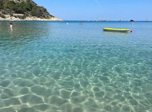 Appartamento Ortensia