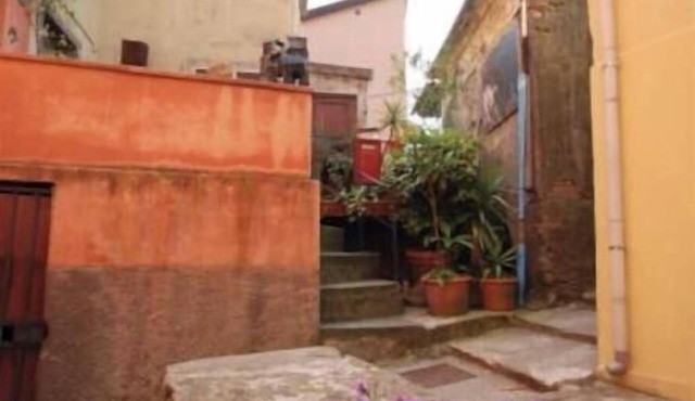 At Olga's House - Authentic Refuge in the Hills of the Cinque Terre