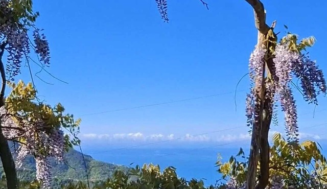 B&B Bella Vita