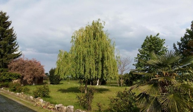 B&B Cascina dell'eco
