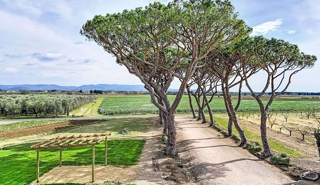 Beautiful apartment for 6 guests with A/C, WIFI, TV, patio, pets allowed and panoramic view