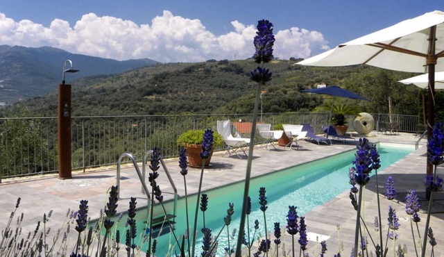 Ca' Pisani in Civezza with private pool for 16 persons