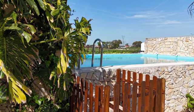 Casa Arinto – Spacious, Peaceful Retreat Among Vineyards with Lounge & Shared Pool