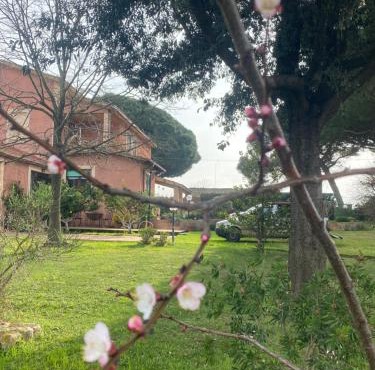Casa Diana