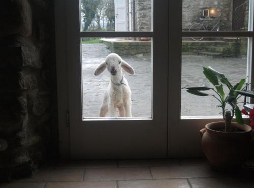 Casa Vacanza Locanda di Campagna