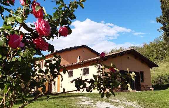 CentOlivi