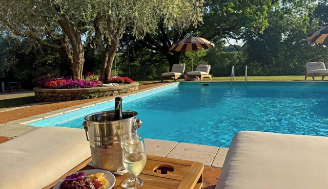 Charming Apartment in Tuscan Villa - Vineyard Estate