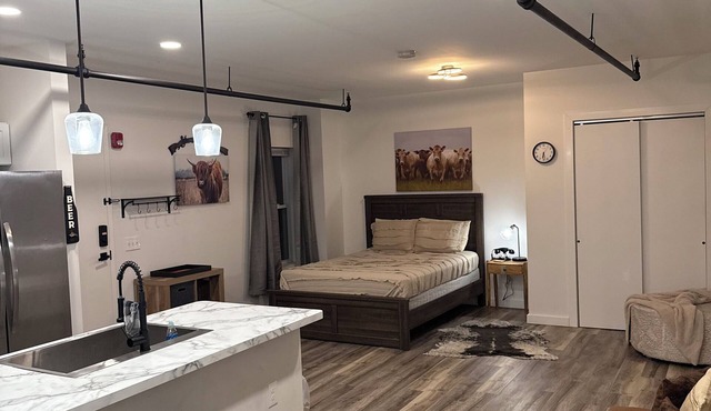 Charming studio apartment in fantastic Cleveland Tremont area