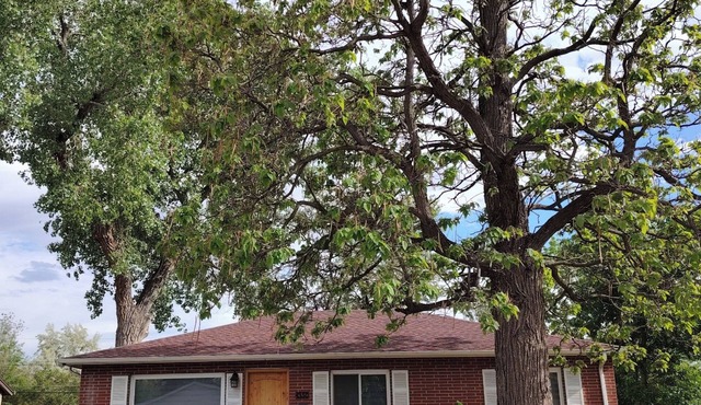 Comfy 3BR Home Near Downtown Denver & Red Rocks