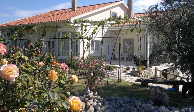 Cork oak retreat 5 minutes from Santarém swimming pools and CNEMAl