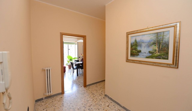Cosy apartment, near Metro A, S. Pietro and the downtown