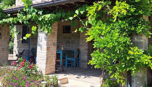 Cottage with pool and veranda surrounded by olive trees.