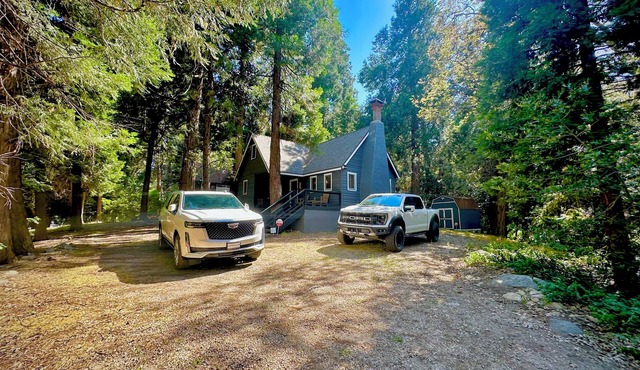 Cozy Mountain Cabin Nestled on Flat Land! Near Lake Gregory!