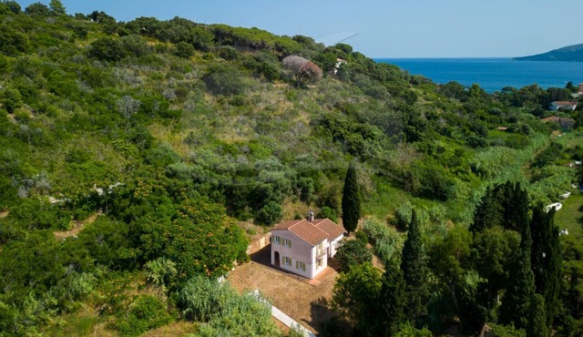 Elegant Villa Ivana 7/8 bed immersed in a green garden 600 meters from Reale beach