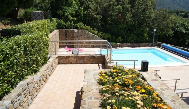 Elegant villa surrounded by greenery with swimming pool