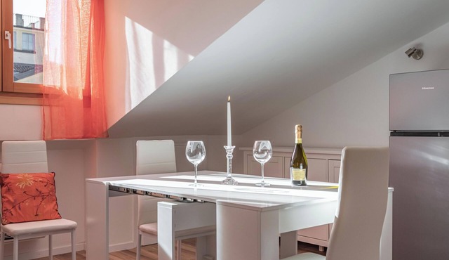 EnJoy Home - Attic with terrace in downtown/hospital area