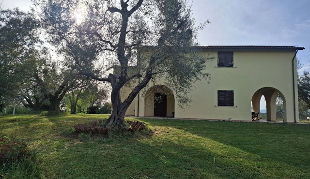 Entire private estate surrounded by ancient olive trees. Privacy and relaxation.