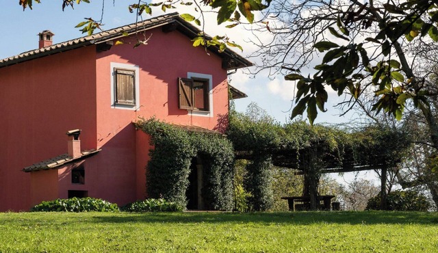 Farmhouse in chestnut grove near Bracciano