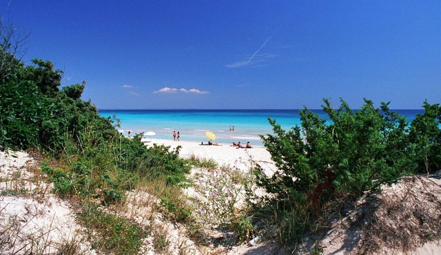Flat for 4 People in Apulia in front of the Sea