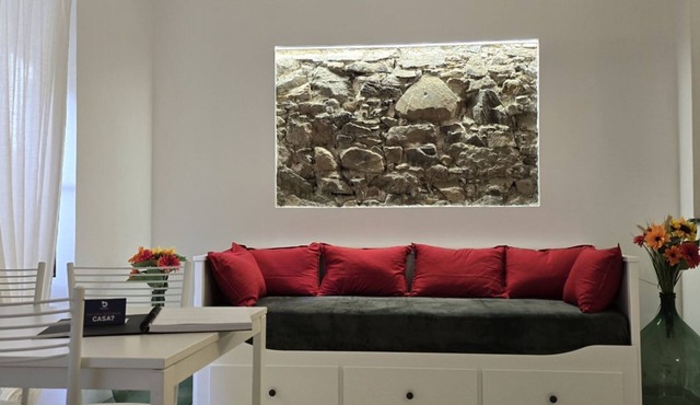 Full-featured apartment with rock shower