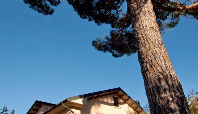 Holiday house for 5 persons approx. 90 qm in Montescudaio, Tuscany (Etruscan Coast)