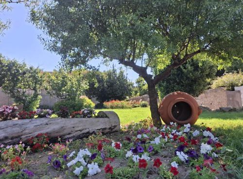 Hotel Lo Smeraldo - Oasi degli Olivi