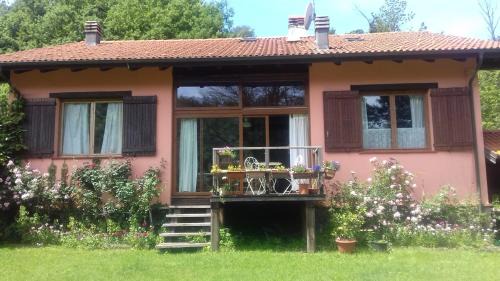 Il pettirosso di Giusvalla