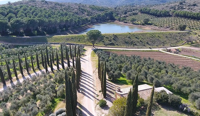 In the countryside in Castiglione della Pescaia
