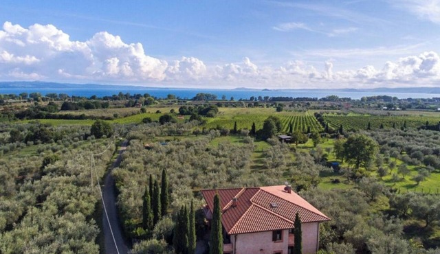 Italian country villa in midst of an olive grove overlooking the Bolsena Lake