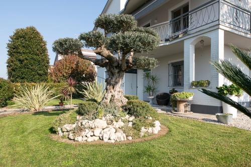 L'Ulivo bed and breakfast