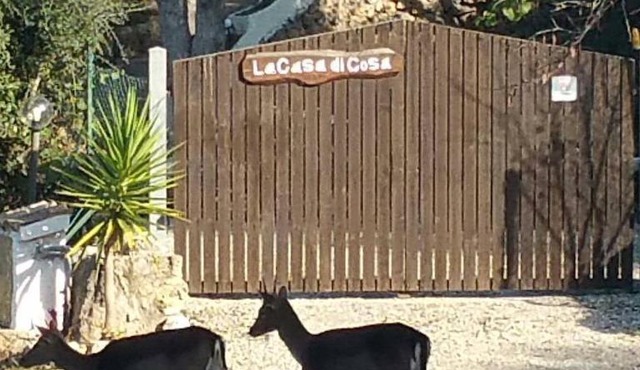 La Casa Di Cosa