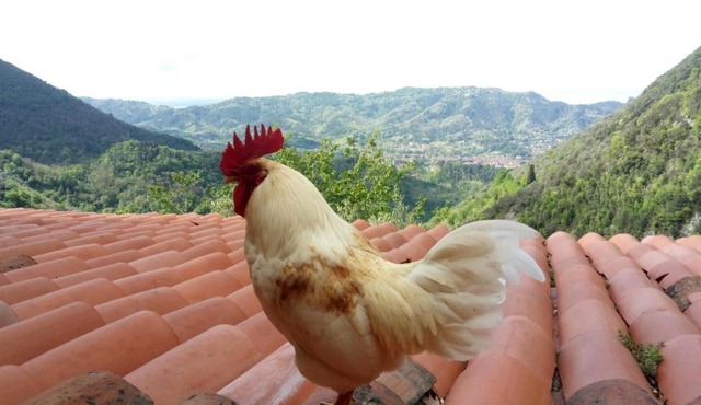 LA GRANDE BELLEZZA