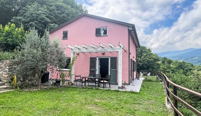 Le radici dell´ulivo by Interhome