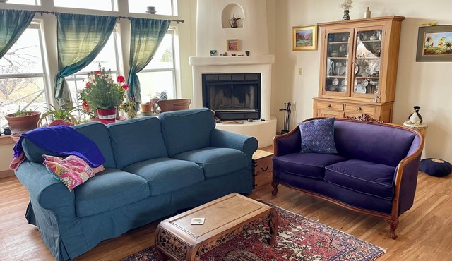 Light-Filled Spacious Home with Cat. Sleeps 4 adults + kids. Beautiful nature.