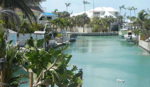 LIVING IN BEAUTIFUL PARADISE