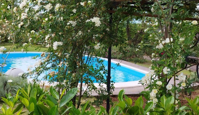Lovely Depandance with use of pool
