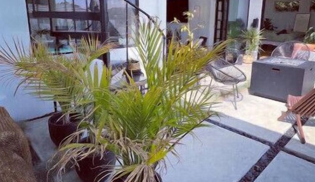 Lush Midcentury Home *As seen on HBO’s Sweet Life*