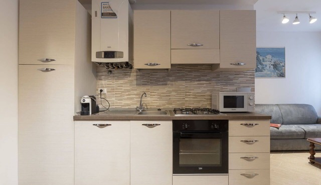 Nice apartment for 4 guests with WIFI, TV, balcony, pets allowed and panoramic view