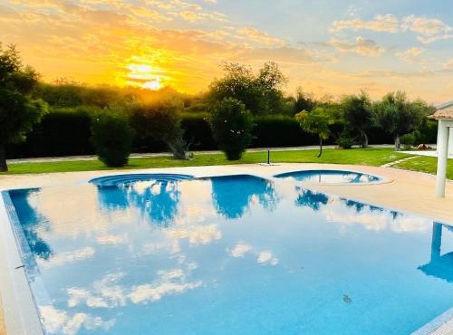 Olive Villa